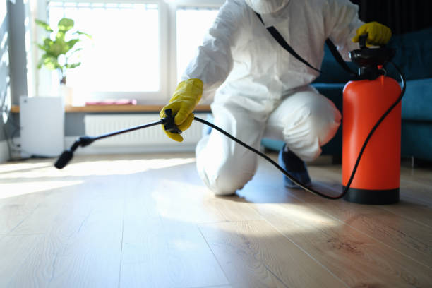 Trusted Odor Removal service in Kyburz, CA - Four Month Blood Cleanse